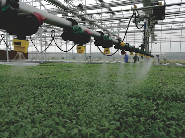 蕭山農科所現(xiàn)代農業(yè)示范基地.png 蕭山農科所現(xiàn)代農業(yè)示范基地.png